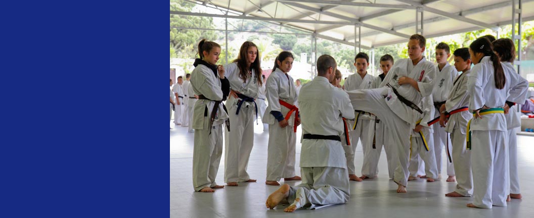 Tatami per judo, karate, taekwondo, aikido, jujitsu...